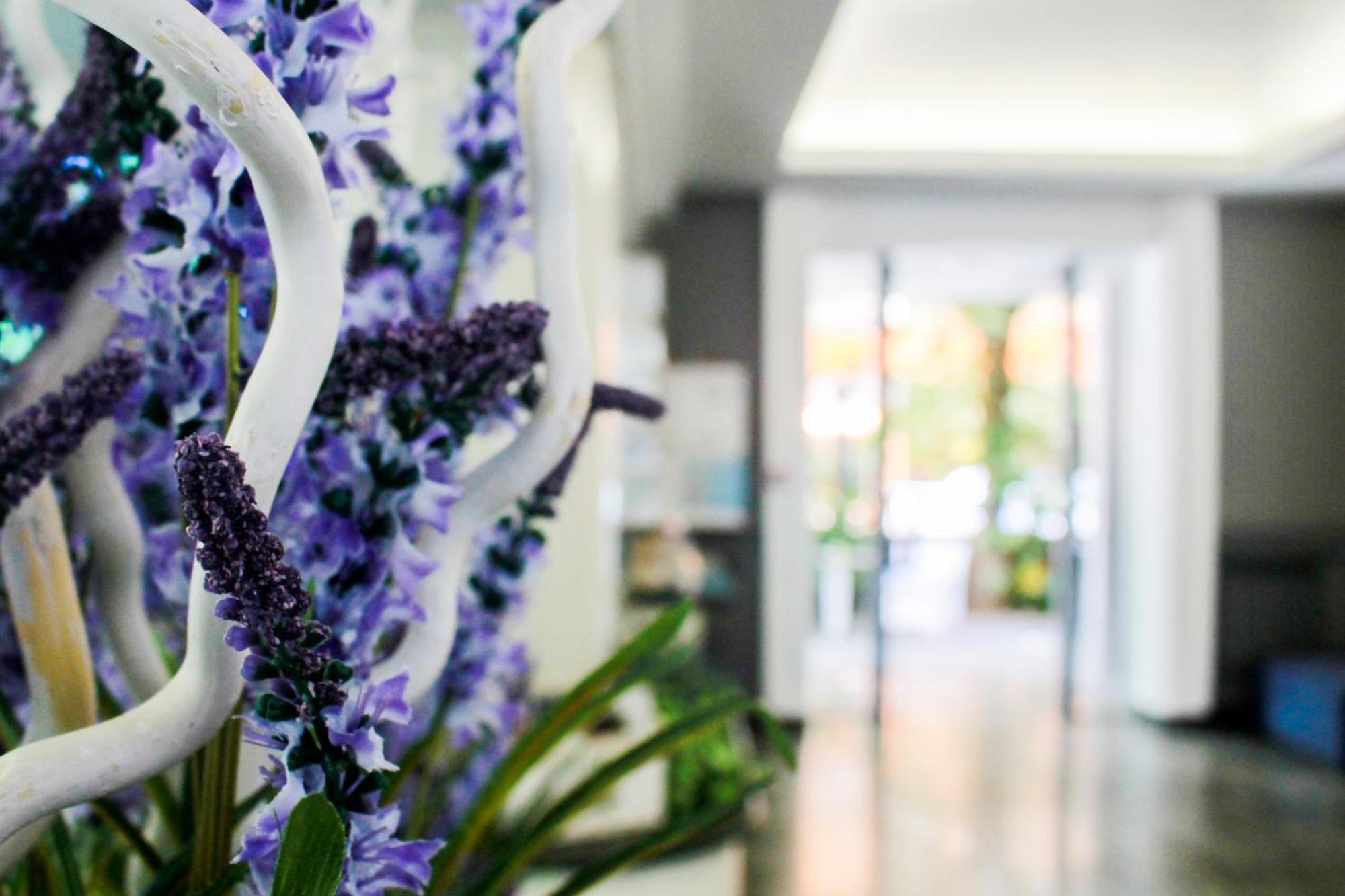Hotel Della Motta Белларія-Іджеа-Марина Екстер'єр фото